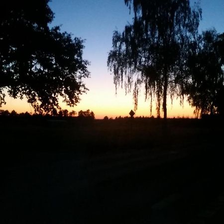 Entspannen & Wohlfuehlen In Der Lueneburger Heide Vierhofen Exterior foto
